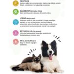 patiografya Premium Immune C Kedi ve Köpek Için Destekleyen Tablet - Görsel 2