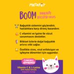 Metapet Kediler için C Vitamini ve Lysine Vitaminleri Damlası, Suyuna veya Mamasına - Görsel 3