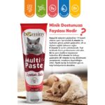 Bominy Kediler Için Multivitamin  ve Tüy Yumağı Önleyici Multivitamin Macun 100G - Görsel 2