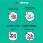 Metapet Köpekler için Kolay Tarama Spreyi, Kıtık Açıcı, Tüy Dökümü Dökülme Engelleyici Bakımı Sağlığı - Görsel 4