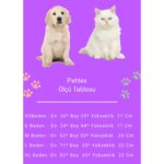 Patitex Iç ve Dış Mekan Kedi Köpek Yatağı - Görsel 5