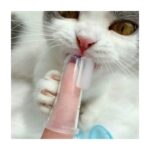 Sanal Trend 2 Adet Kedi Köpek Parmak Diş Fırçası Saklama Kutulu Evcil Hayvan Diş Bakım Fırçası - Görsel 4