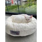 Hatmer Home Fluffy Peluş Kedi Köpek Yatağı - Renk: Pembe - Görsel 3