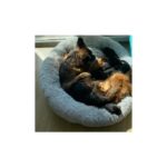 Hatmer Home Fluffy Peluş, Fermuarlı Kedi Köpek Simit Yatağı - Renk: Füme - Görsel 2