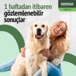 Pawgus Kenevir Yağ Kedi Köpek Sakinleştirici - Stress, Hiperaktivte, Artrit, Nöbet, ,uyku Takviyesi - Görsel 5