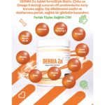 Vsd Derma Zn 120G Chew Tablet Köpekler İçin Tüy Dökülme Engelleyici - Görsel 2