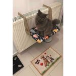 GOBYPET Kalorifer Petek Radyatör Yatağı,kedi-Köpek Yatağı, Askılı Kedi Yatağı, Hediye Paspas - Görsel 4