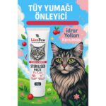 Lion Paw Sterilised Malt Macun 100GR ( Kısırlaştırılmış Kediler Için Tüy Yumağı Önleyici )Idrar Yolu Desteği - Görsel 4