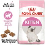 Royal Canin Kitten Yavru Kedi Maması 10 Kg