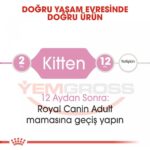 Royal Canin Kitten Yavru Kedi Maması 10 Kg - Görsel 4