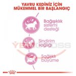 Royal Canin Kitten Yavru Kedi Maması 10 Kg - Görsel 5