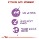 Royal Canin Fhn Sterilised 37 Kısırlaştırılmış Kuru Kedi Maması 15 Kg - Görsel 4