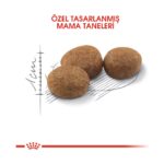 Royal Canin Fhn Sterilised 37 Kısırlaştırılmış Kuru Kedi Maması 15 Kg - Görsel 5