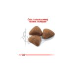Royal Canin Indoor 27 Ev Kedileri İçin Kedi Maması 2 Kg - Görsel 5