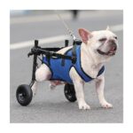 Mixpet Ayarlanabilir Evcil Hayvan Tekerlekli Sandalye