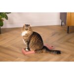 Beeztees Kedi Karton Tırmalama, Pembe, 45CM Sptgl - Görsel 2