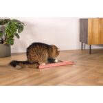 Beeztees Kedi Karton Tırmalama, Pembe, 45CM Sptgl - Görsel 3