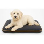 Optimal&Prime 4 Mevsim Termojel (60X40CM)  Kedi/ Köpek Matı, Sıcak Veya Soğuk Kullanılabilen Minder Yatak - Görsel 4