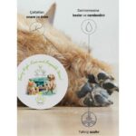 Greenwich Pati Burun Balm 50 ml | Nemlendirici Çatlak Onarım Kremi | Doğal Organik Içerik | Kedi Köpek - Görsel 3