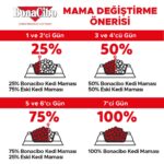 BonaCibo Adult Cat Tavuklu Yetişkin Kedi Maması 2 Kg, Tüm Irklar Için, Doğal, Şeker Içermez - Görsel 5