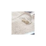 Proline Kokusuz İnce Taneli Topaklanan Bentonit Kedi Kumu 20 Lt - Görsel 2