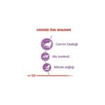 Butik Royal Canin Sterilised Yetişkin Kısırlaştırılmış Kedi Maması 4 kg - Görsel 3
