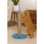 Petody Ocean –  Doğal Ahşap 50 cm Renkli Kapaklı Jüt Kedi Tırmalama Direği - Görsel 5