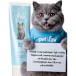 Pet's Fav Kedi Malt Macunu Tüy Yumağı & Kusma Önleyici &  Vitamin, Taurin ve Kalsiyum Destekli - Görsel 3