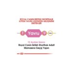 Royal Canin British Shorthair için Yavru Kedi Maması 2kg - Görsel 5