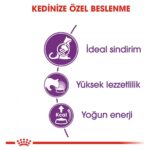 Royal Canin Sensible33 Sindirim Hassasiyeti Olan Kediler için Yetişkin Kuru Kedi Maması 15kg - Görsel 3