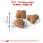 Royal Canin Sensible33 Sindirim Hassasiyeti Olan Kediler için Yetişkin Kuru Kedi Maması 15kg - Görsel 4