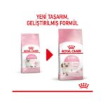 Royal Canin Royal Kitten  Yavru Kediler için Kuru Kedi Maması 4kg - Görsel 2