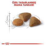 Royal Canin Savour Exigent Seçici Kedi Maması 4 Kg - Görsel 5