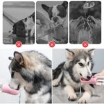 Gold Bazaar Taşınabilir Mama Hazneli Evcil Hayvan Suluğu Seyahat Kabı Kilitlenebilen Su Sızdırmaz 380ML (4764) - Görsel 2