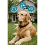 Muvicado Köpek Pire Kene Tasması Bit Pire Kene Parazit Önleyici Ayarlanabilir Doğal Tasma 62 cm Kedi Tasması - Görsel 4