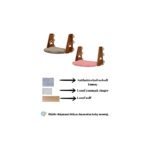 Sennedilersen Kedi Cam Yatağı , Vantuzlu Kedi Cam Yatak - Görsel 3