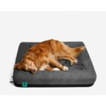 Zee Dog Zee.bed - Köpek Yatağı - Zee.dog - Görsel 3