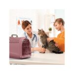 İmac Imac Lınus 2nd Lıfe Evcil Hayvan Taşıma Çantası Yeşil 52,5X32X34,5CM - Görsel 2