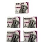 Gezeroğlu Petshop Derma Drop 11-20 kg Köpekler Için  Damlası Deri Bakım Ürünü X5
