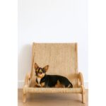 Arte Tasarım Mobilya Kedi ve Köpekler Için Doğal Hasır Tırmalama ve Dinlenme Yatağı - Görsel 3