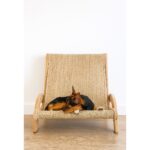 Arte Tasarım Mobilya Kedi ve Köpekler Için Doğal Hasır Tırmalama ve Dinlenme Yatağı - Görsel 4