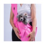 Pawstar Pembe Gabardin Çanta Kedi Köpek Taşıma Çantası - Görsel 2