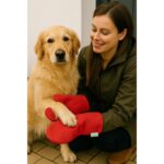 Oya Pet Köpek Pati Kurulama Eldiveni, 2 Katlı Süper Su Emici Mikrofiber, 1 Çift, Kırmızı