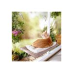 Cama Asılan Kedi Yatağı - Görsel 3