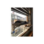 Ata Home Ahşap Cama Yapışan Kedi Yatağı Vantuzlu - Görsel 3