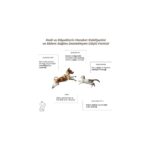 Joints&mobility, Glukozamin, Kondritin, Kolajen, Kedi ve Köpek, 60 Tablet - Görsel 3