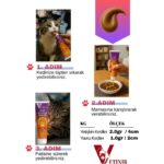 Vetixir Multi Vitamin Paste Kedi Vitamin Macunu 100 gr - Görsel 4