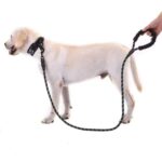 Belle Fusion Köpekler Için Gezdirme Tasması Reflektörlü 130 cm Halat Orta ve Büyük Boy Köpekler Için Siyah - Görsel 2
