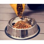 Playcat Play Cat Gourmet Yetişkin Kedi Maması (Açık) 1kg