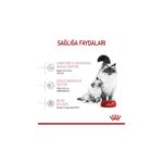 Royal Canin Mother&BabyCat Gebe/Laktasyondaki Anne ve Yavru Kedi için Kuru Kedi Maması 4kg - Görsel 3